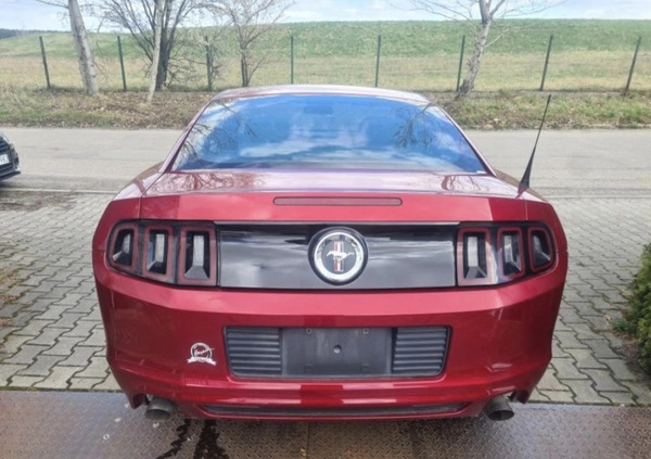 Ford Mustang cena 56800 przebieg: 177900, rok produkcji 2014 z Drobin małe 79